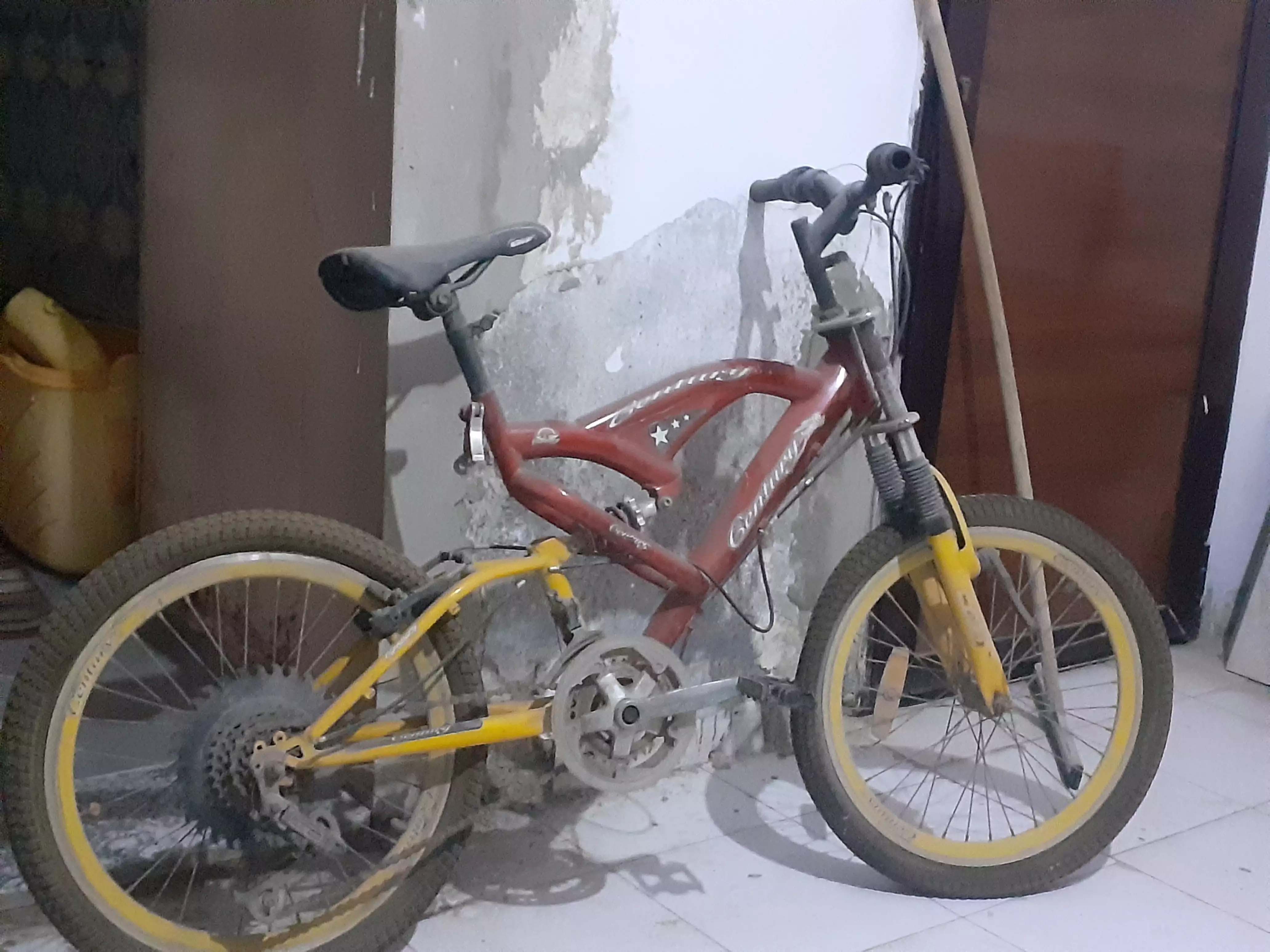 BMX PRO NEW EVOLUTION BIKE